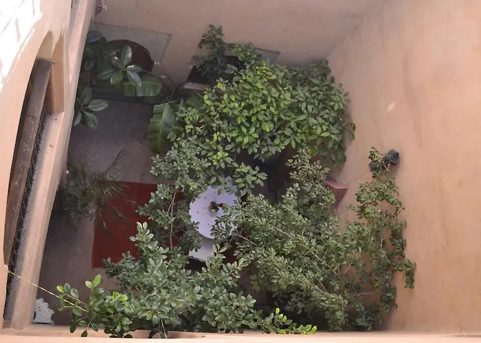 Riad Hotel Belleville Marrakech Marrakesh